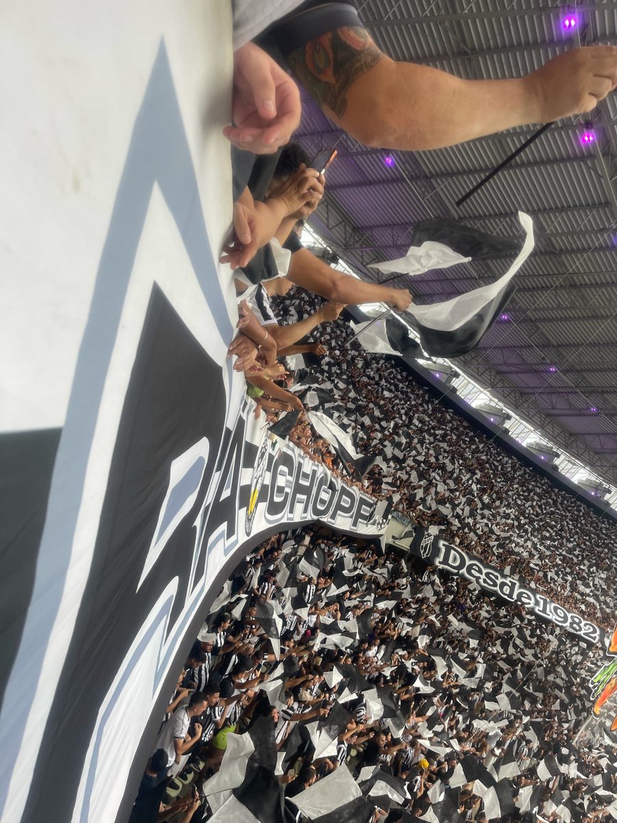 Foto do álbum ARENA VOZÃO